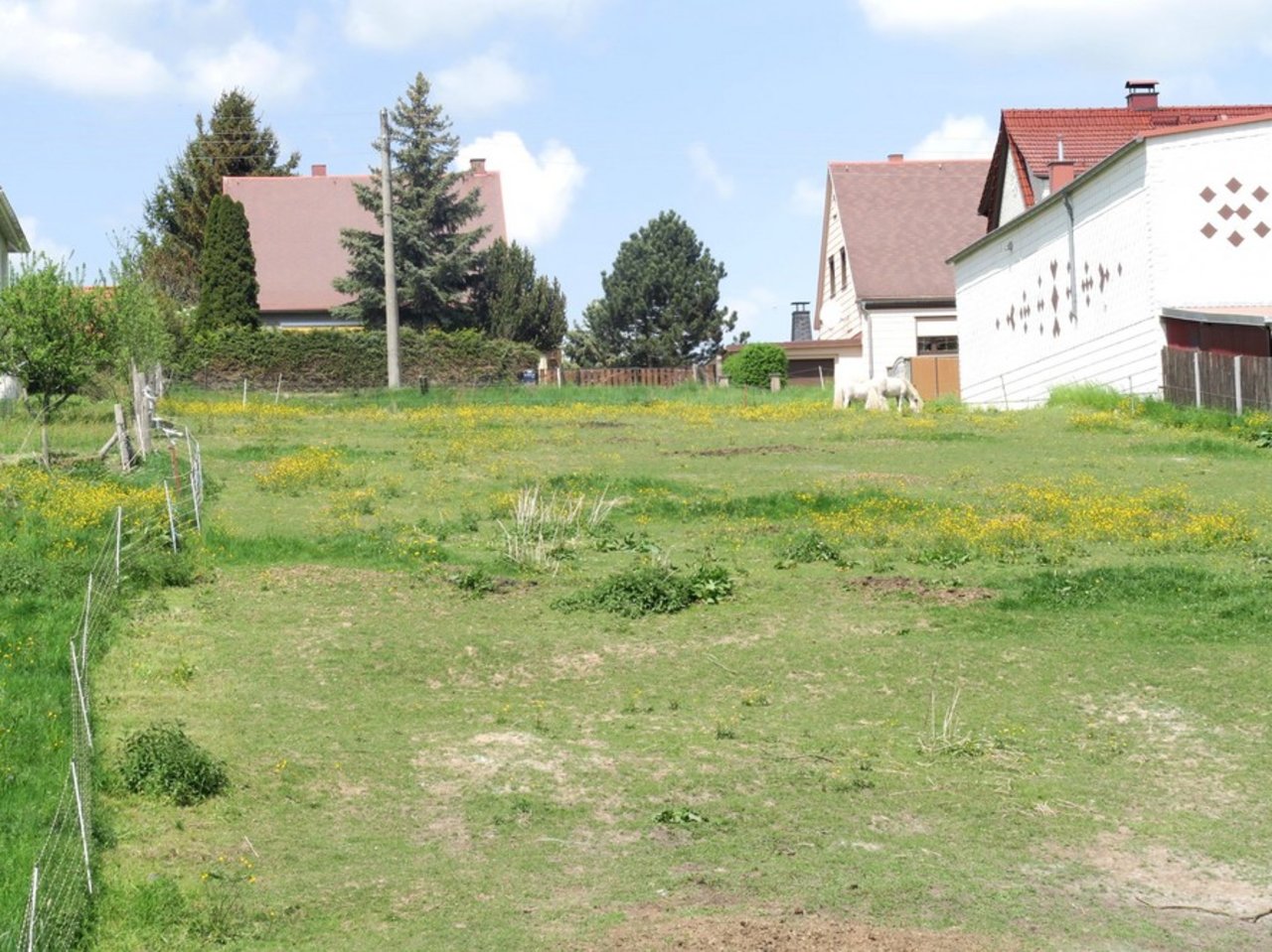 Bauträgerfreies Baugrundstück in Pennewitz