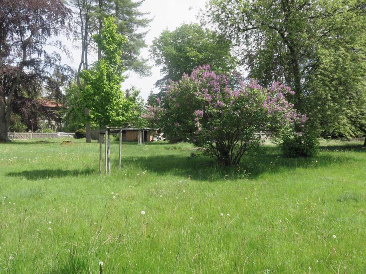 Attraktive, gepflegte Villa auf parkähnlichem Grundstück in Gehren-Grundstück